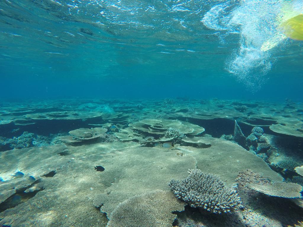 Holiday Haven Ukulhas Luaran gambar