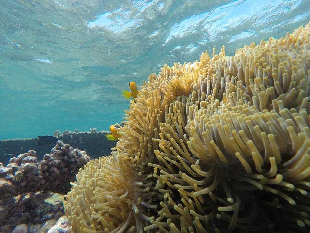 Holiday Haven Ukulhas Luaran gambar